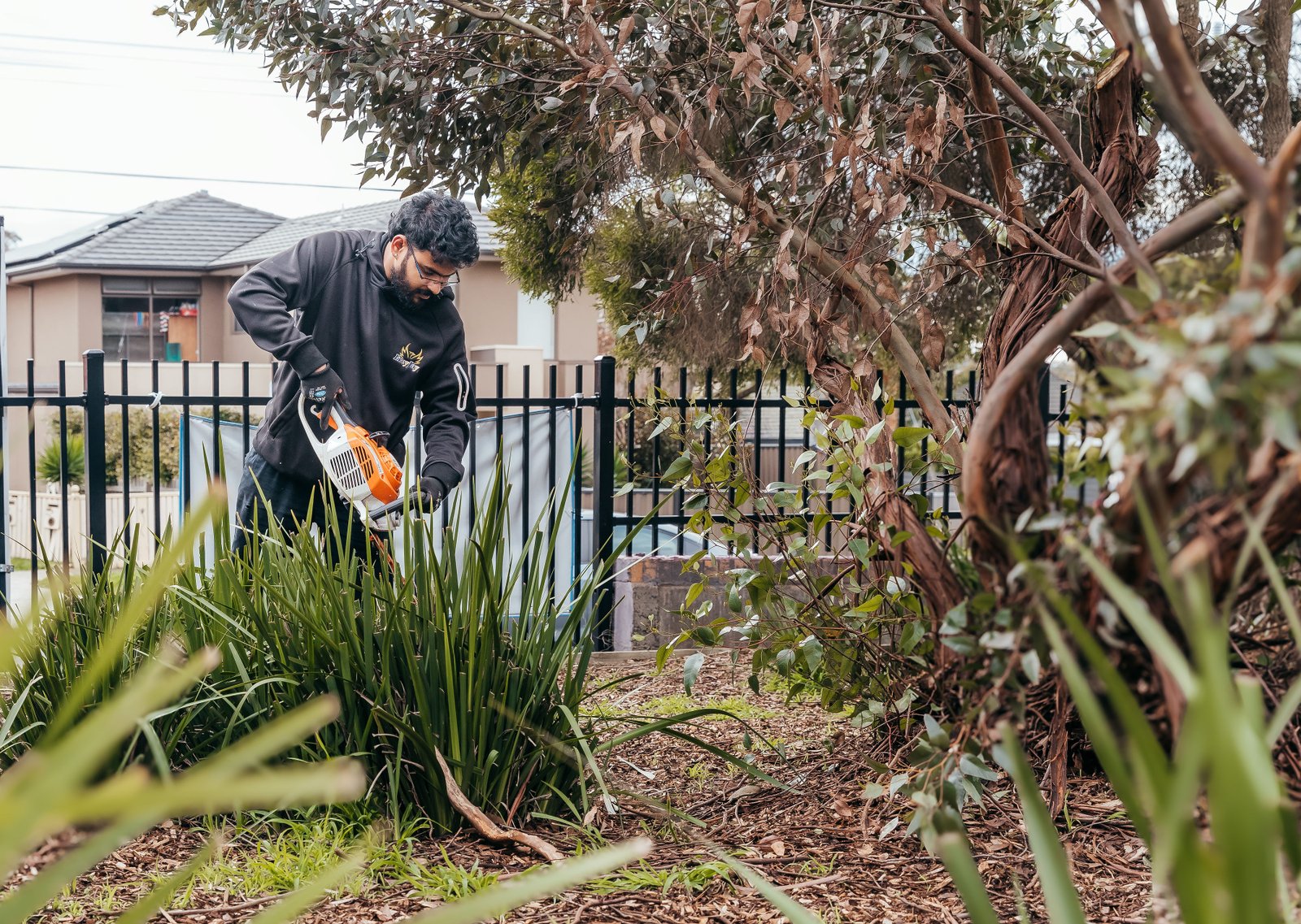 Garden pruning and shrub care Melbourne FreyJay Garden