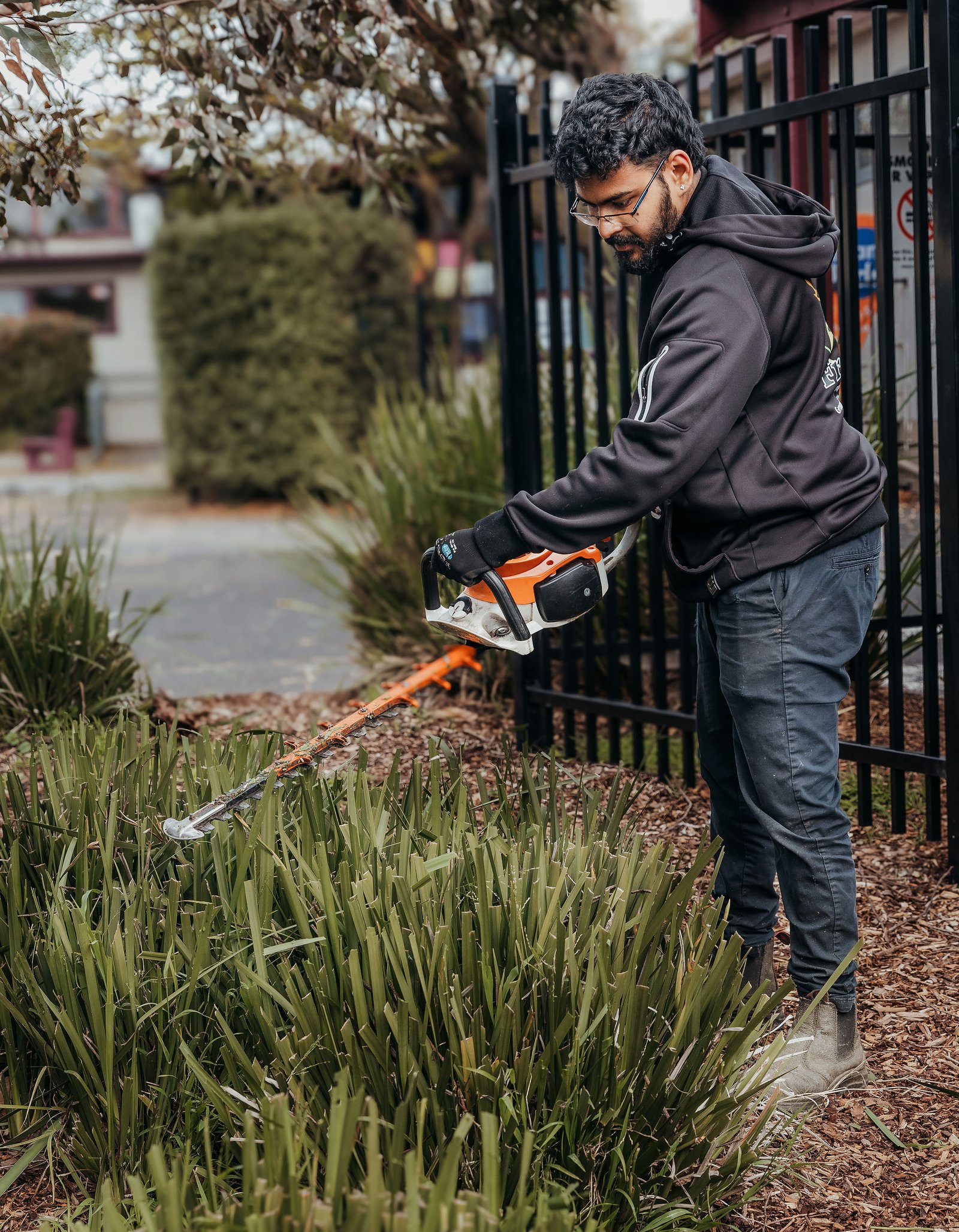 Hedge trimming with pole hedger Melbourne FreyJay Garden